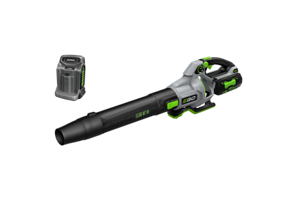 1138 M³/H LAUBBLÄSER (KIT) 5,0-Ah-Akku und Schnell-Ladegerät